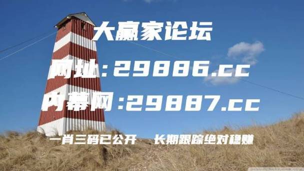 2021年澳门全年免费大全,真实经典策略设计_VR型43.237