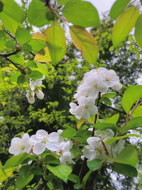 如晴天，似雨天,设计策略快速解答_整版DKJ656.74