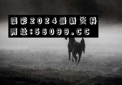 2023年新澳门正版资料公开,设计策略快速解答_整版DKJ656.74