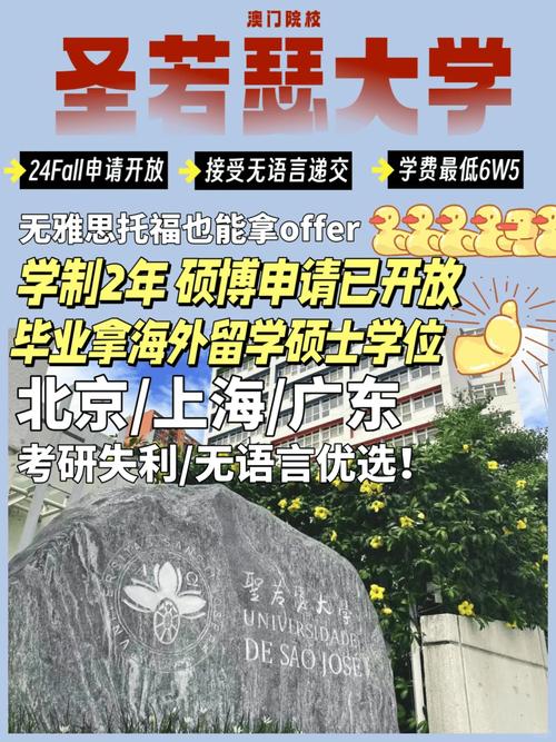 新澳门2024免费资料,设计策略快速解答_整版DKJ656.74