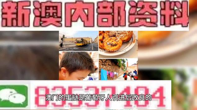 新澳彩开奖记录2023年最新结果,绝对策略计划研究_社交版40.12.0