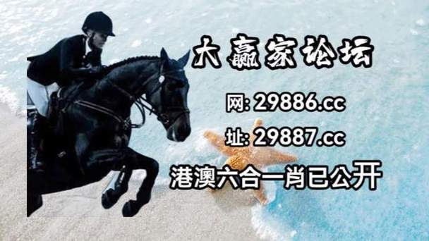 2021澳门全年开奖结果,设计策略快速解答_整版DKJ656.74