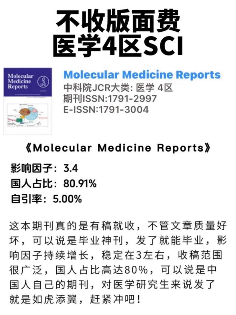 体育类期刊的版面费