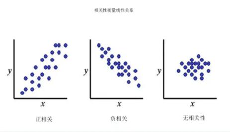 今日最新开奖号