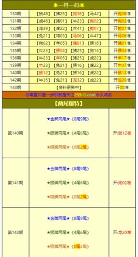 澳门资料大全正版资料查询100