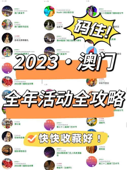 澳门金牛网正版免费资料2023,绝对策略计划研究_社交版40.12.0