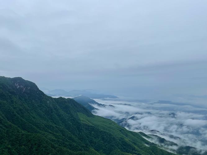 武功山有大量臭屁虫,武功山有大量臭屁虫的地方